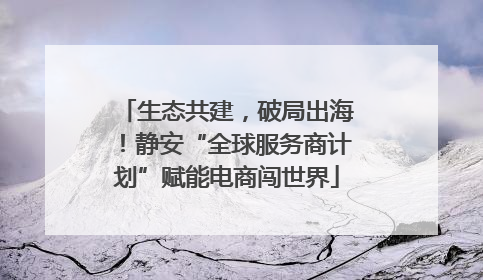 生态共建，破局出海！静安“全球服务商计划”赋能电商闯世界